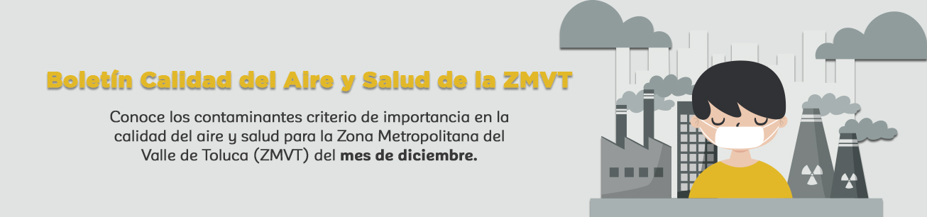 Boletín de Calidad del Aire y Salud de la ZMVT Diciembre