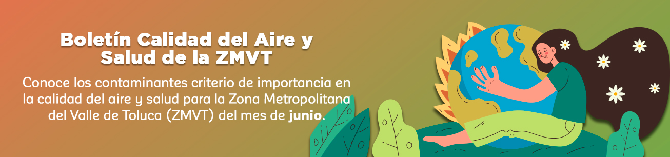Boletín de Calidad del Aire y Salud de la ZMVT Junio