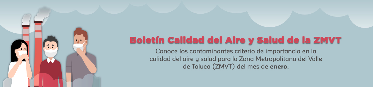 Boletín de Calidad del Aire y Salud de la ZMVT Enero